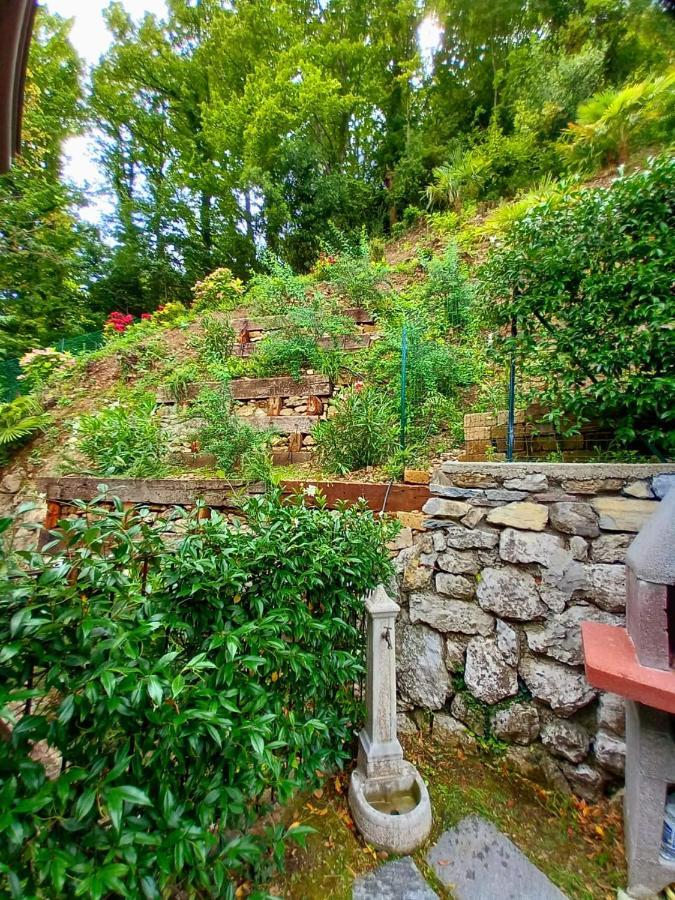 Le Grigne Guest House Oliveto Lario Luaran gambar
